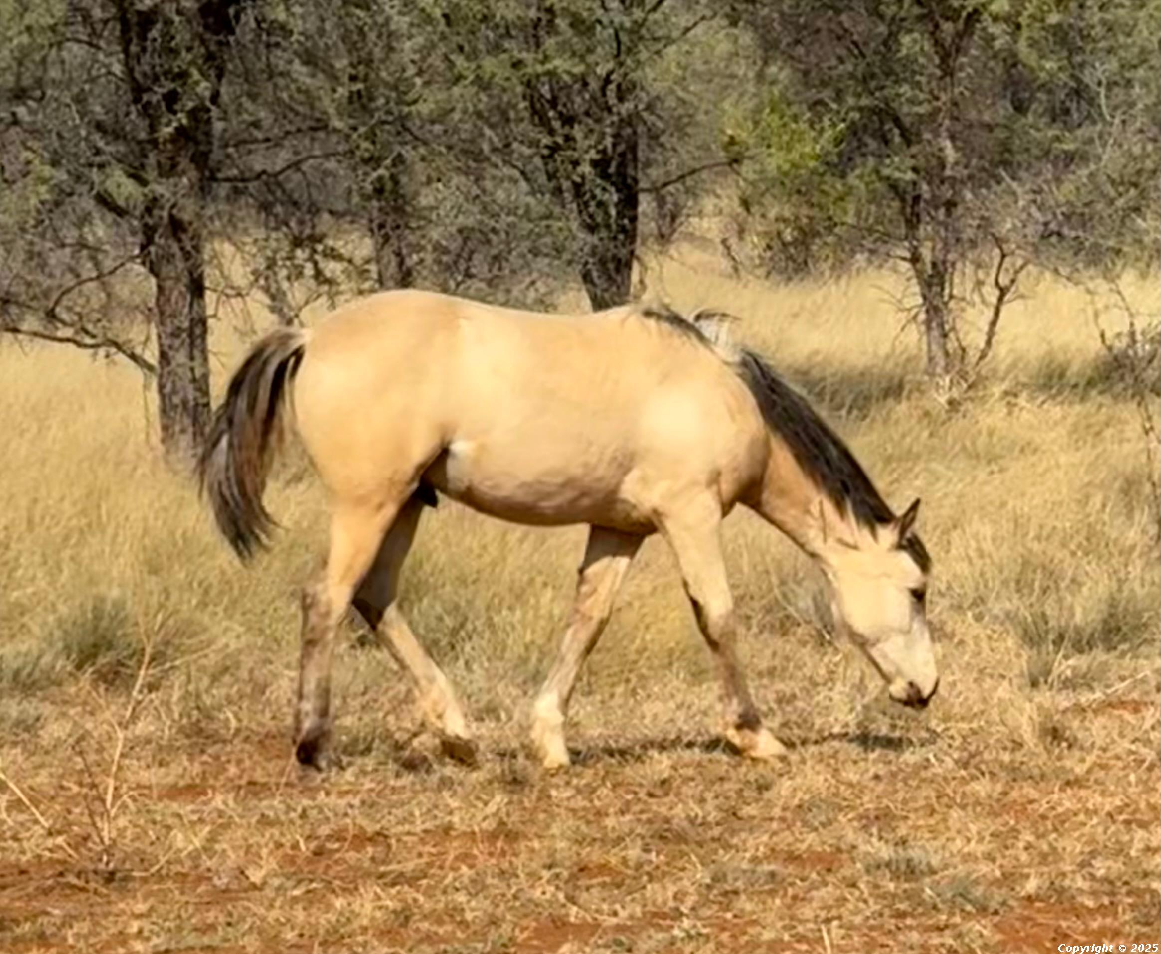 Bon Sailin To Be Great